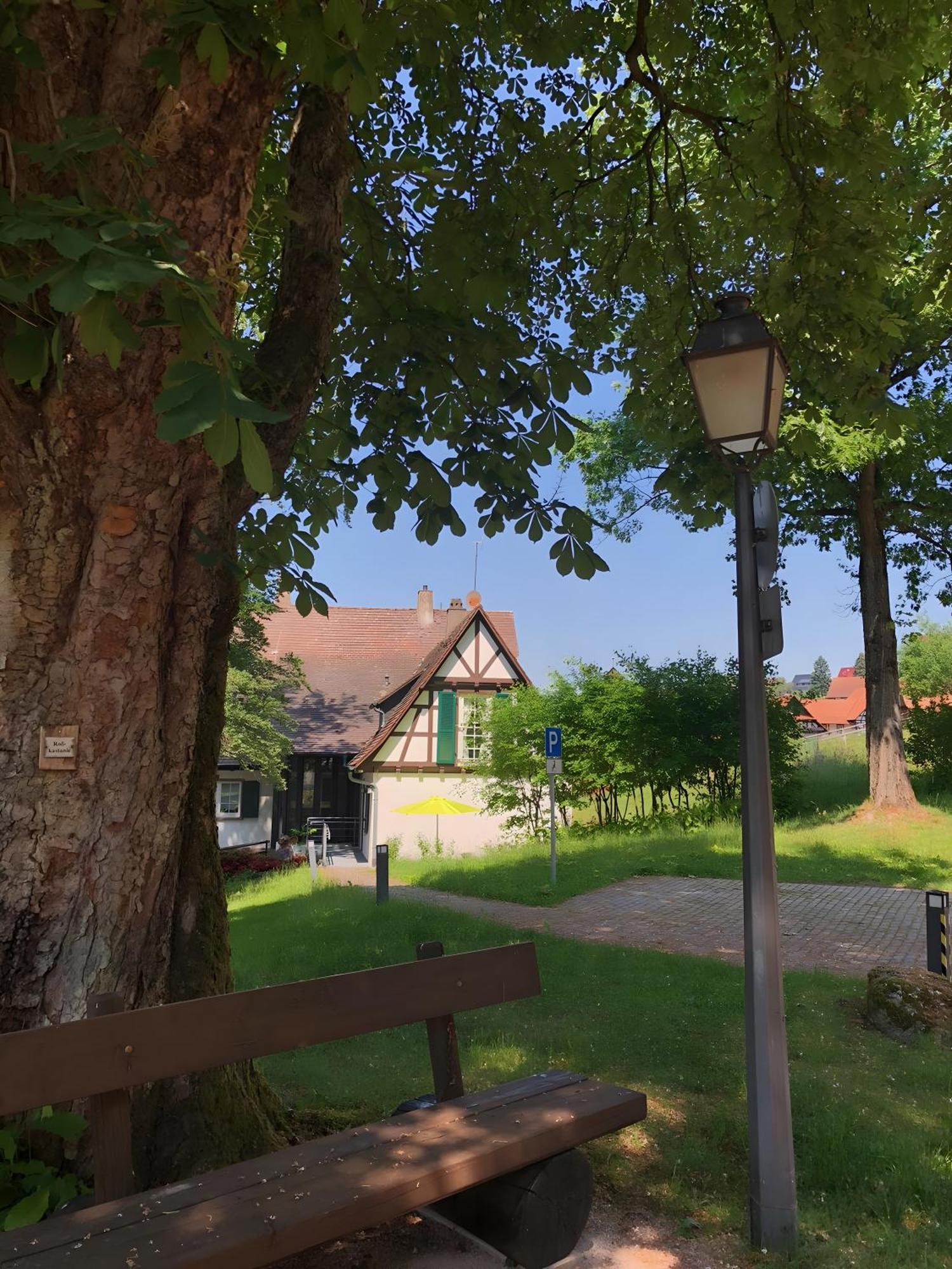 Ferienwohnung Am Keschtebaum, 70Qm Sasbachwalden Exterior photo