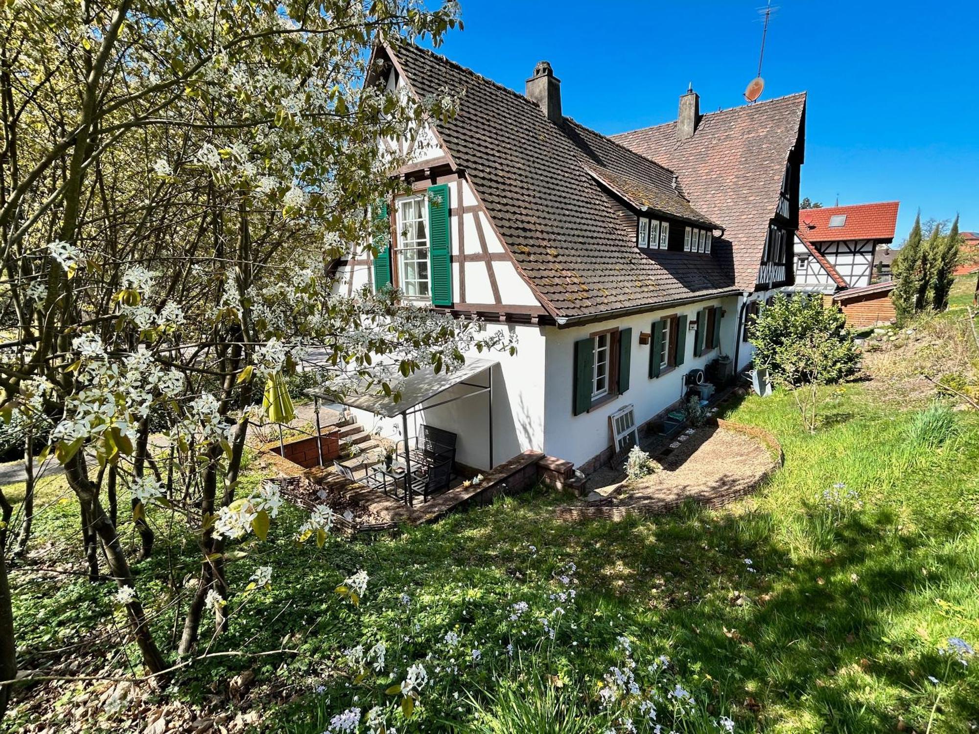 Ferienwohnung Am Keschtebaum, 70Qm Sasbachwalden Exterior photo